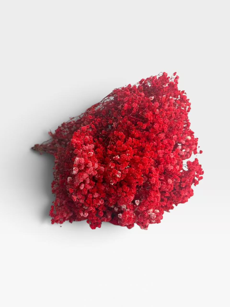 Red preserved baby's breath, approximately 200 g