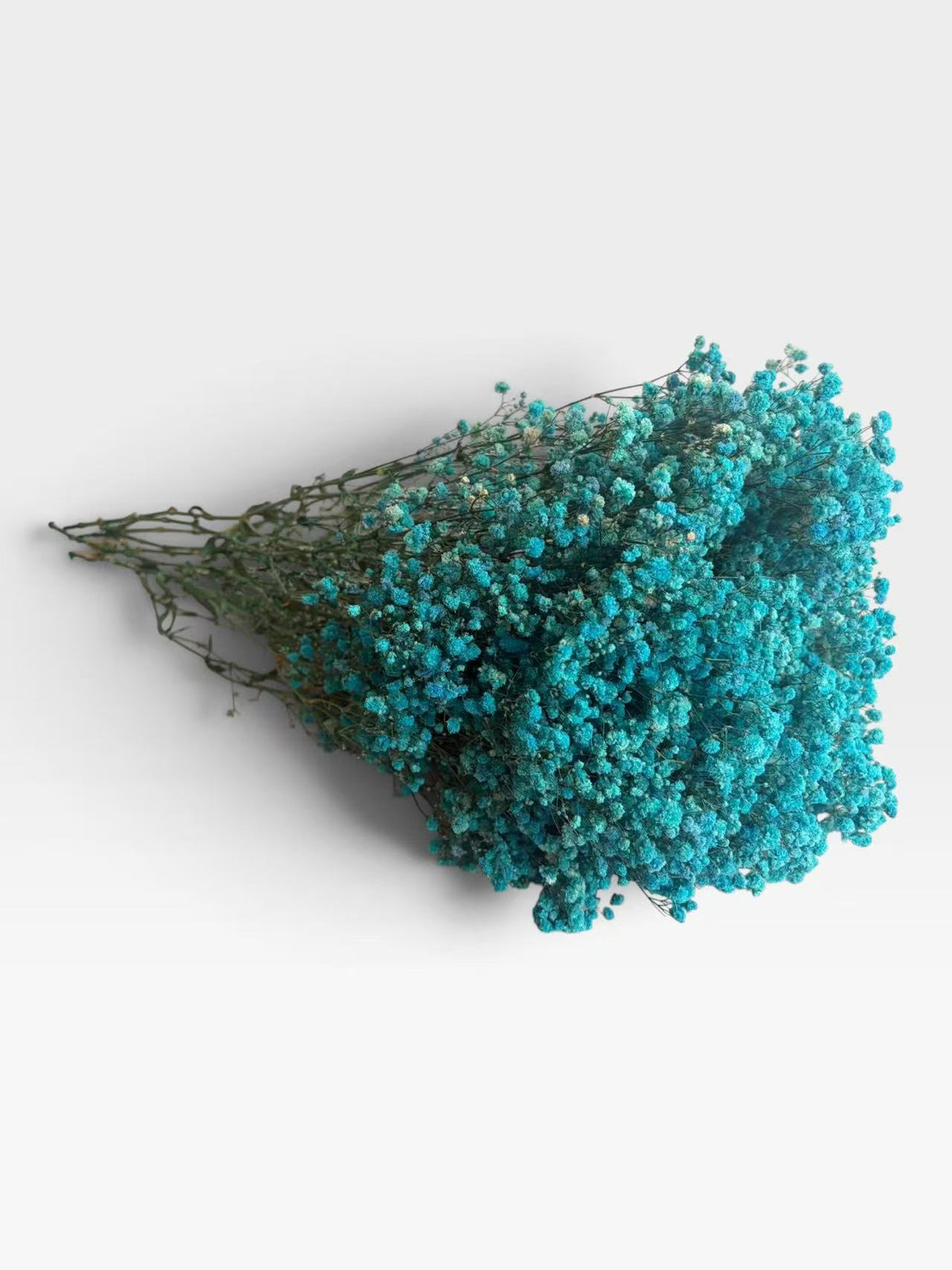 Tiffany blue preserved baby's breath, approximately 200 g