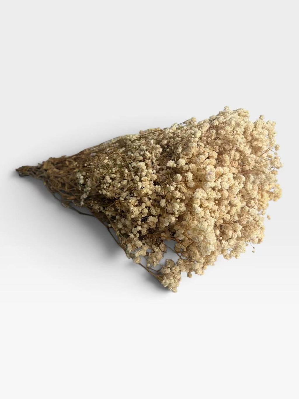 White preserved baby's breath, approximately 200 g