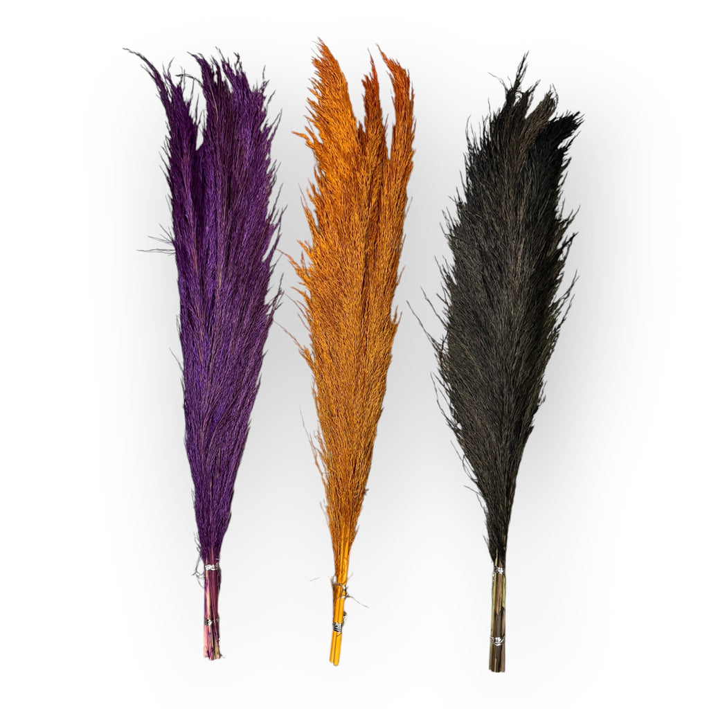 Preserved iron reed grass in purple, golden orange, and black