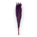 Purple preserved iron reed grass, 5 stems