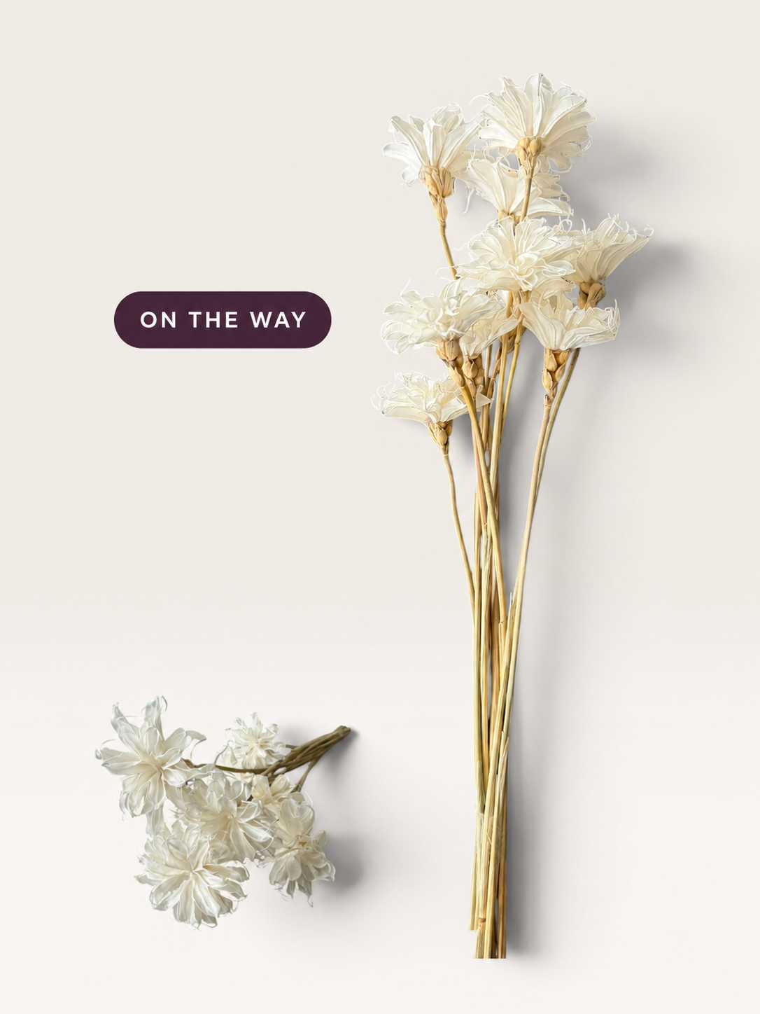 Queen of the Night handcrafted flowers — ON THE WAY