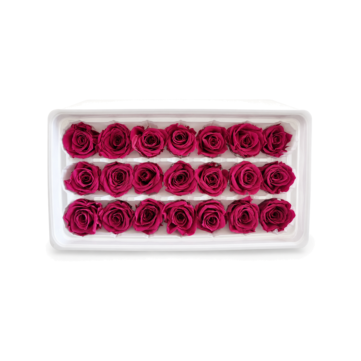 Mini Preserved Rose Heads – 21 Pieces