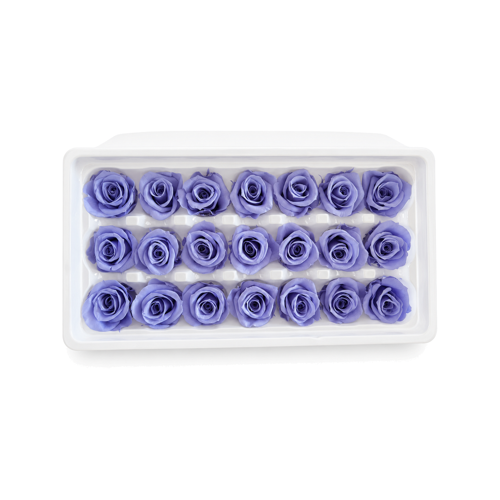 Mini Preserved Rose Heads – 21 Pieces