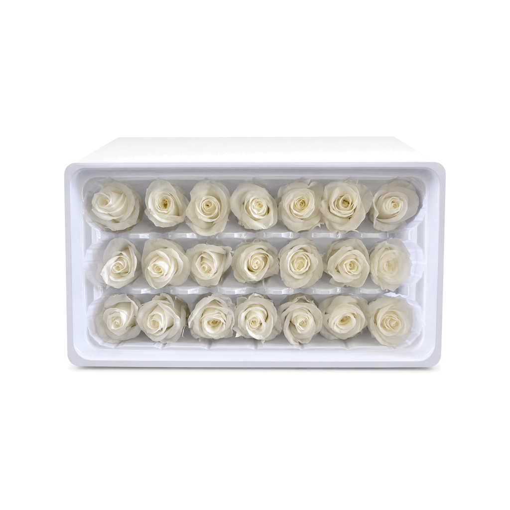 Mini Preserved Rose Heads – 21 Pieces