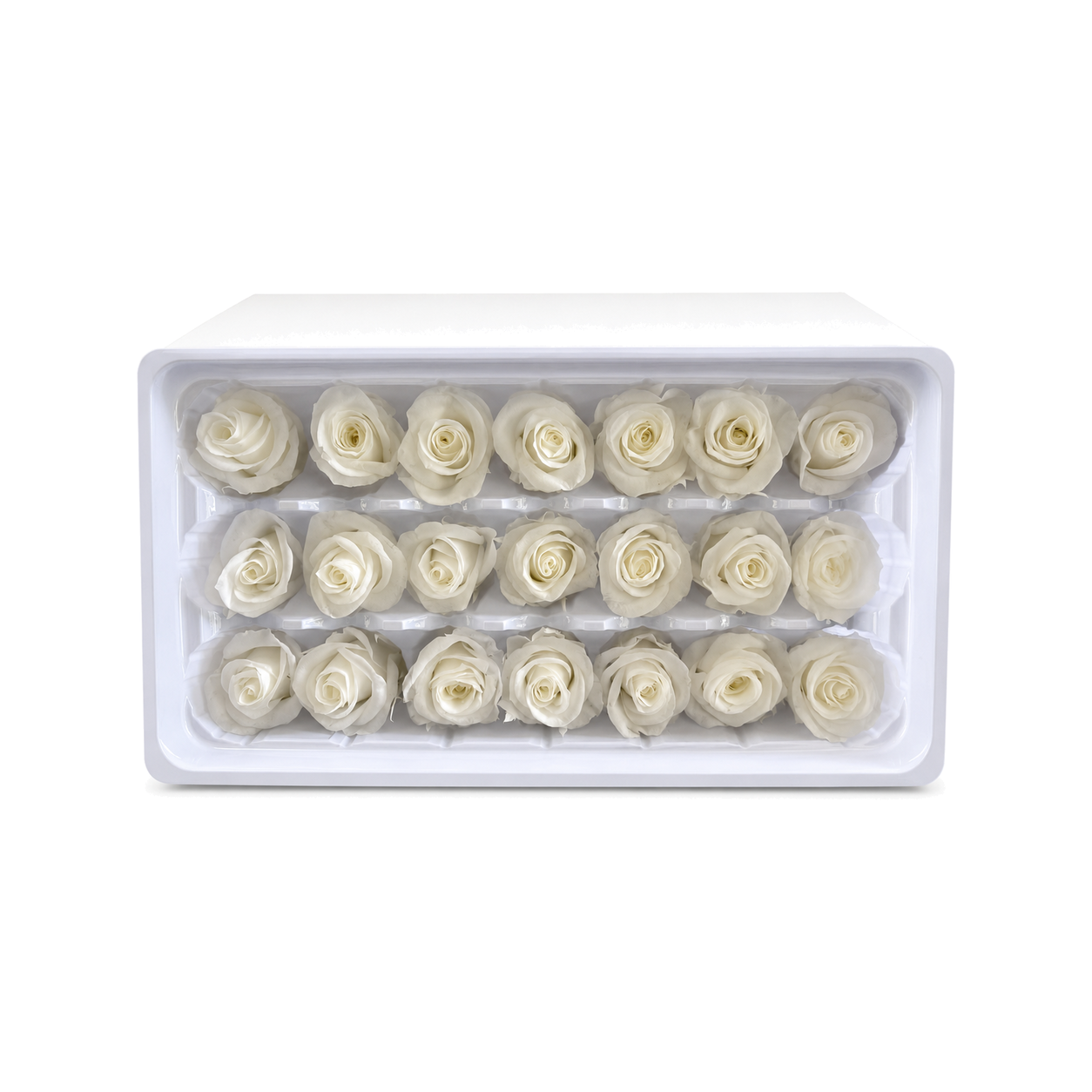 Mini Preserved Rose Heads – 21 Pieces