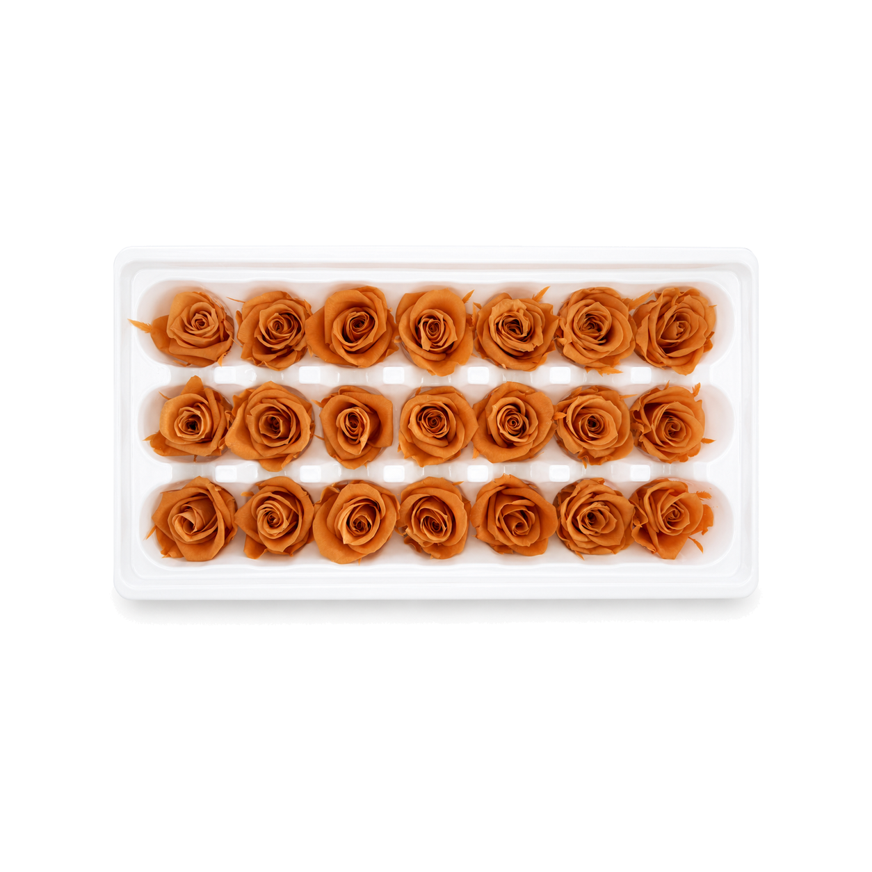 Mini Preserved Rose Heads – 21 Pieces