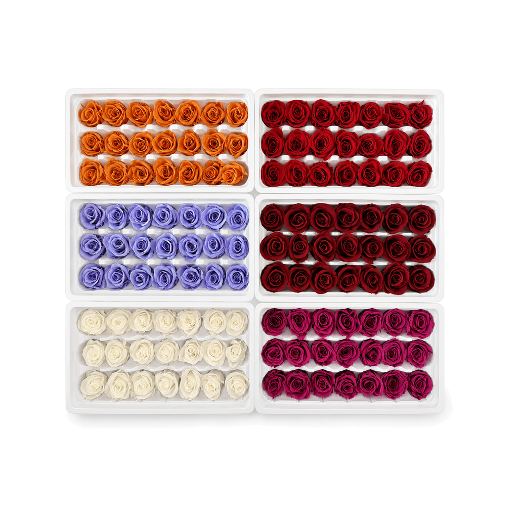 Mini Preserved Rose Heads – 21 Pieces