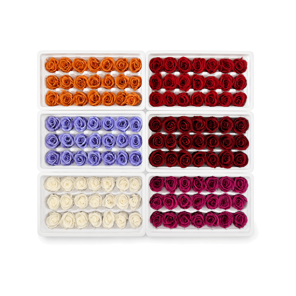 Mini Preserved Rose Heads – 21 Pieces