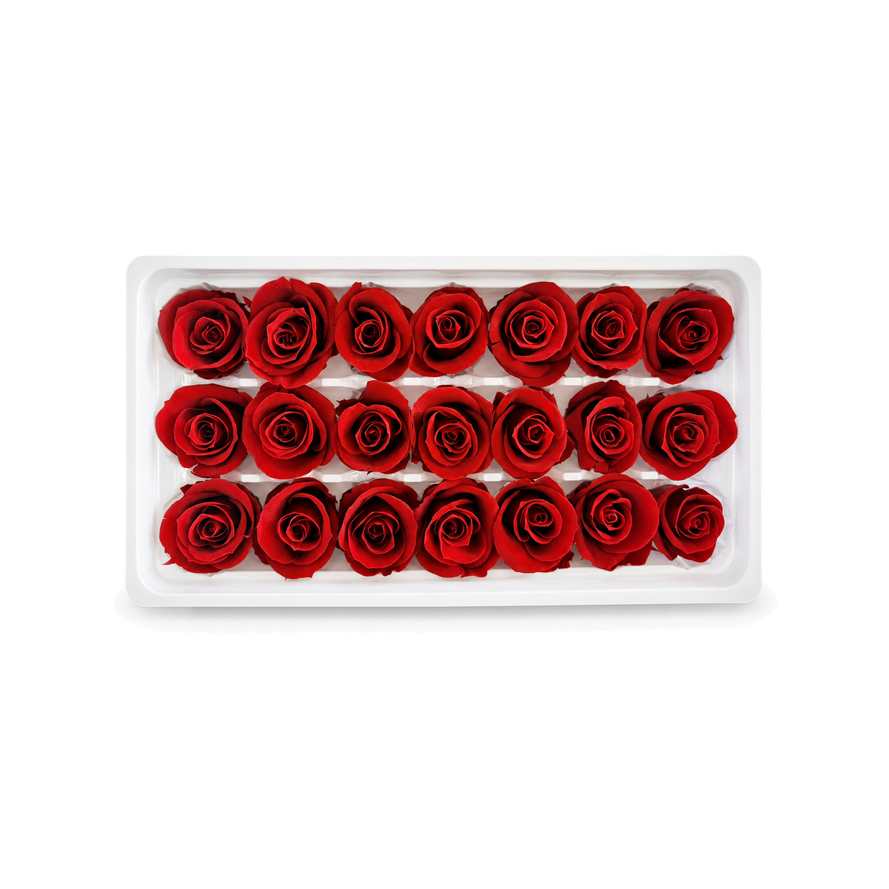 Mini Preserved Rose Heads – 21 Pieces