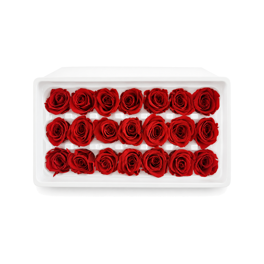 Mini Preserved Rose Heads – 21 Pieces