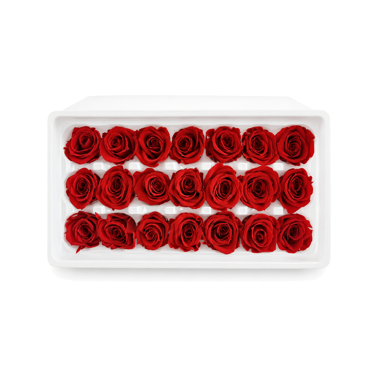 Mini Preserved Rose Heads – 21 Pieces